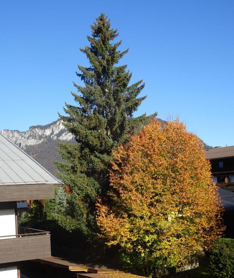 Apartement Gyarmaty Sankt Johann in Tirol Εξωτερικό φωτογραφία